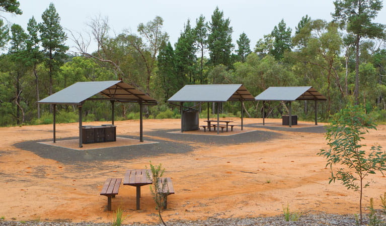 sculpture-in-the-scrub-campground-and-picnic-area.jpg